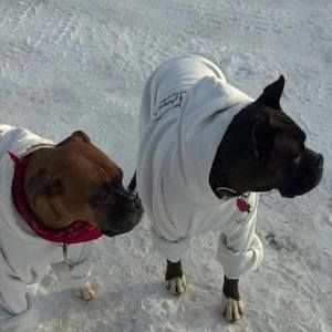 Meet your Posher, Craig